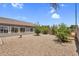 Backyard with gravel, small trees, desert landscaping, and the back of the house with several windows at 5529 E Holmes Ave, Mesa, AZ 85206