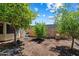 Backyard with mature trees, desert landscaping, block fence, and outdoor furniture at 6205 W Encinas Ln, Phoenix, AZ 85043