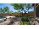Serene backyard featuring desert landscaping with cacti, shrubs, and a mature tree, creating a tranquil outdoor space at 9037 E Indigo St, Mesa, AZ 85207