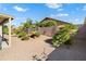 Private backyard featuring lush landscaping, palm trees, decorative rocks, and desert vegetation at 17653 W Ingleside Dr, Surprise, AZ 85374
