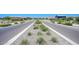 A wide street view features drought tolerant landscaping with mountains in the distance at 19889 W Annika Dr, Litchfield Park, AZ 85340