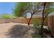 Large backyard with privacy fence and mature trees offering outdoor space at 2333 W Alta Vista Rd, Phoenix, AZ 85041