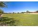 Expansive green community park with mature trees, walking paths, and well-maintained lawn at 708 E Dry Creek Rd, San Tan Valley, AZ 85143