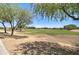 Beautiful community park with large green lawn, mature trees, and walking path under a blue sky at 708 E Dry Creek Rd, San Tan Valley, AZ 85143