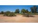 Scenic view of the golf course, blending natural beauty with recreational opportunities at 17810 N 34Th Pl, Phoenix, AZ 85032