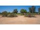 Picturesque golf course view, showcasing the lush greenery and serene surroundings beyond the property at 17810 N 34Th Pl, Phoenix, AZ 85032