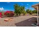Well maintained backyard featuring beautiful trees and a colorful array of gorgeous flowers at 509 N 56 St, Mesa, AZ 85205