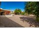 Spacious backyard featuring a patio, gravel ground covering, and mature trees that provides ample shade at 509 N 56 St, Mesa, AZ 85205