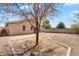 Backyard view showcases desert landscaping, patio, and exterior house features with mature tree at 1380 W Angus Rd, San Tan Valley, AZ 85143