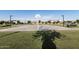 Community basketball court surrounded by green grass and mature trees, a neighborhood amenity at 3556 E Austin Dr, Gilbert, AZ 85296