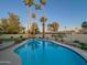 Backyard with a sparkling in-ground swimming pool surrounded by palm trees and desert landscaping, creating a tranquil oasis at 6639 E Pershing Ave, Scottsdale, AZ 85254