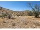 Vacant land featuring desert plants and shrubs at 17929 W Estes Way, Goodyear, AZ 85338