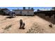 Spacious backyard with an open seating area at 3440 W Bluefield Ave, Phoenix, AZ 85053