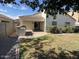 An inviting backyard with a built-in grill, covered patio, and lush green grass at 12041 W Carlota Ln, Sun City, AZ 85373