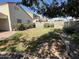 Large, grassy backyard, with a concrete block fence and sparse shrubbery at 12041 W Carlota Ln, Sun City, AZ 85373