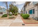 Exterior view along condo walking path with mature trees and landscaping at 2610 W Berridge Ln # C115, Phoenix, AZ 85017