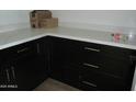 Close up of custom black cabinetry with stone countertops and modern gold hardware at 32278 N 168Th Ave, Surprise, AZ 85387