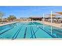 Community swimming pool showcasing swimming lanes, lounge chairs and shaded seating area with tables at 22882 E Marsh Rd, Queen Creek, AZ 85142