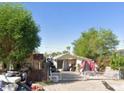 Exterior shot of a home, surrounded by trees and foliage, showcasing the front yard and facade at 1006 S 3Rd Ave, Phoenix, AZ 85003