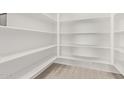 Walk-in pantry featuring open shelving, providing ample storage space at 11949 W Parkway Ln, Avondale, AZ 85323