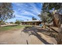 Exterior view of a ranch style home featuring mature landscaping and a dirt front yard at 26415 S Recker Rd, Queen Creek, AZ 85142