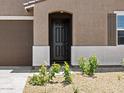 Close-up of the dark front door framed by desert landscaping and a stucco exterior, accentuating the home's charm at 20357 N 225Th Dr, Surprise, AZ 85387