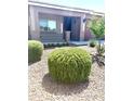 Inviting front yard with desert landscaping and a charming covered porch on a single-story home at 901 W Witt Ave, Queen Creek, AZ 85140