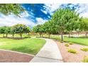 Scenic walking path through a park with mature trees and lush green grass, perfect for a relaxing stroll at 901 W Witt Ave, Queen Creek, AZ 85140