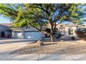 Two-story home with a large tree and gravel landscaping at 11568 E Whispering Wind Dr, Scottsdale, AZ 85255