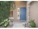 Close-up of a blue front door, with stone accents, flanked by greenery and outdoor lighting at 2116 N 81St Cir, Mesa, AZ 85207