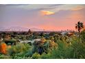 Expansive city skyline view at sunset, complemented by lush greenery and palm trees in the foreground at 4836 E White Gates Dr, Phoenix, AZ 85018