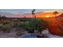Stunning sunset view overlooking lush greenery, palm trees, and the city skyline, as seen from the property at 4836 E White Gates Dr, Phoenix, AZ 85018