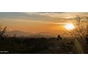 Scenic sunset view of the city skyline and mountains, framed by trees at 4836 E White Gates Dr, Phoenix, AZ 85018