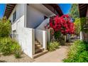 Charming exterior entrance featuring vibrant bougainvillea and a private stairwell at 3637 E Monterosa St # 17, Phoenix, AZ 85018