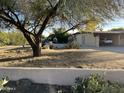 Spacious front yard with mature trees and a large grassy area at 7131 E Cholla St, Scottsdale, AZ 85254