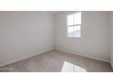 Sunlit bedroom with plush carpeting and a bright window offering an outside view at 40000 W Bravo Dr, Maricopa, AZ 85138