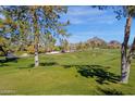 Panoramic view of the golf course and distant mountains at 2626 E Arizona Biltmore Cir # 40, Phoenix, AZ 85016