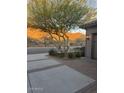 A street view featuring a native desert tree, garage and desert landscape in the background at 29214 N 19Th Ln, Phoenix, AZ 85085