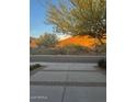 Desert landscape view featuring native trees and plants by the street at 29214 N 19Th Ln, Phoenix, AZ 85085