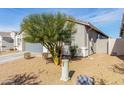 Side view of a house showing gray exterior and a tree at 7834 W Forest Grove Ave, Phoenix, AZ 85043