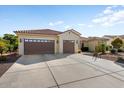 Two-car garage with tan colored doors and a long driveway at 20103 N 265Th Ave, Buckeye, AZ 85396