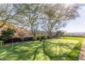 Landscaped putting green with artificial turf at 4060 E Lamar Rd, Paradise Valley, AZ 85253