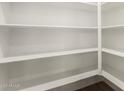 Spacious walk-in pantry features white shelving for ample storage at 18544 E Dario Rd, Gold Canyon, AZ 85118