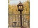 Serene backyard setting with birdhouse, birdbath and vibrant Cardinals perched on the fence and in trees at 9446 E Romping Rd, Carefree, AZ 85377
