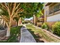 Lush community grounds feature a sidewalk and mature trees near multi-story tan condos with upper-level balconies at 5525 E Thomas Rd # N1, Phoenix, AZ 85018