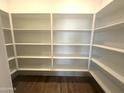 Walk-in pantry with custom shelving offers lots of storage space at 43499 N Wollemi St, Queen Creek, AZ 85140