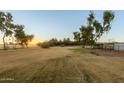 Spacious pasture with trees, sunset view, and horse stables at 6690 N 183 Ave, Waddell, AZ 85355