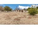 Ranch style home with a large grassy yard and fruit trees at 707 S Cactus Wren St, Gilbert, AZ 85296