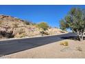 Neighborhood street with desert landscaping and mountain views at 4361 S Tigre Del Mar Dr, Gold Canyon, AZ 85118