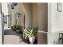 Charming entryway featuring an arched doorway, potted plants, and elegant architectural details at 20802 N Grayhawk Dr # 1087, Scottsdale, AZ 85255